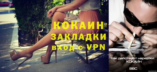 дживик Каменка