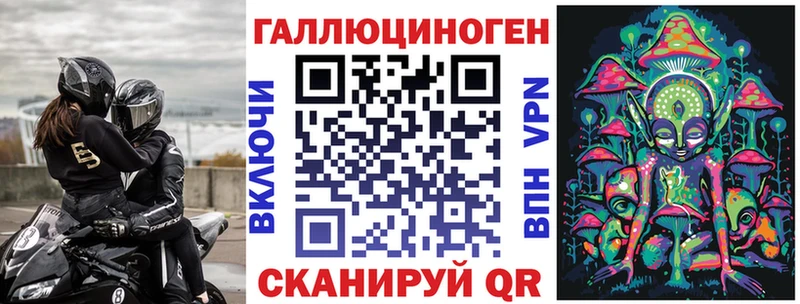 Купить закладки  Кондрово  Псилоцибиновые грибы GOLDEN TEACHER 